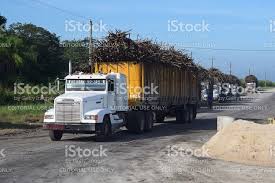 Truck delivering soil