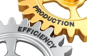 Production Efficiency